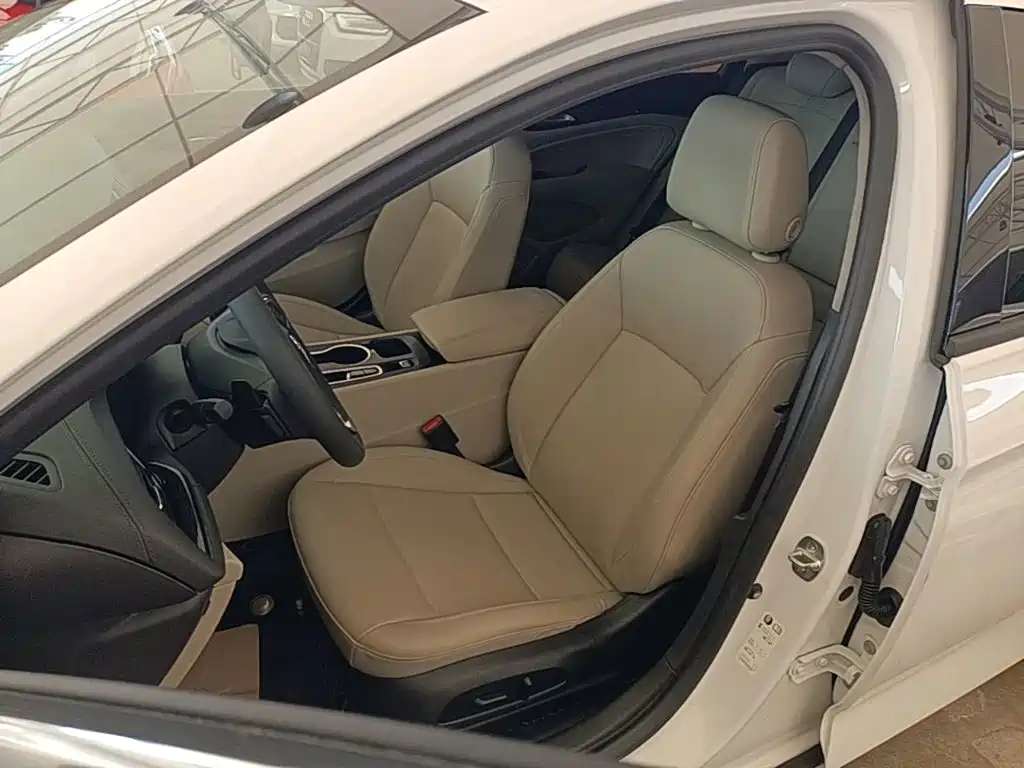 Buick Regal — миниатюра 15