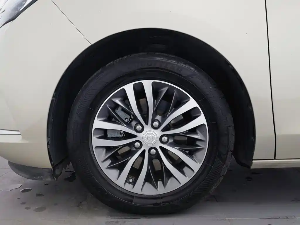 Buick GL8 — миниатюра 17