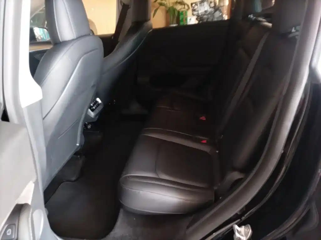 Tesla Model Y — миниатюра 17