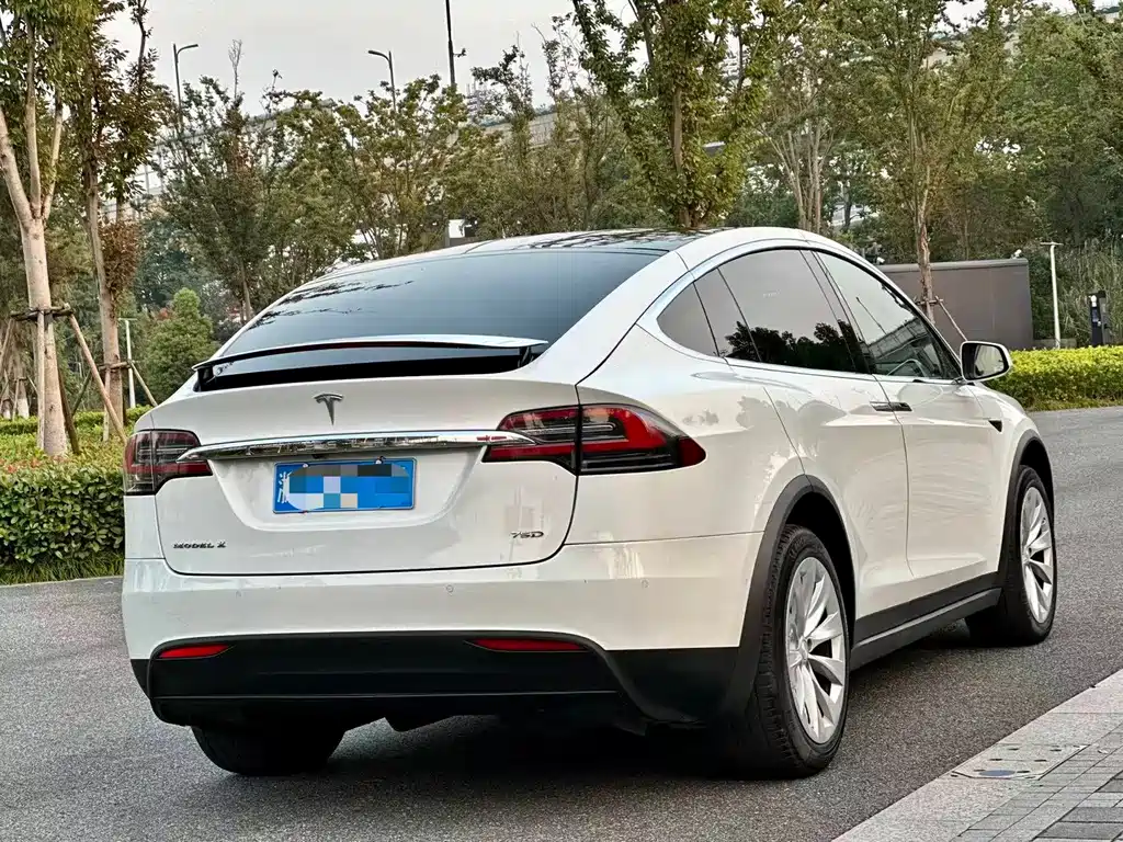 Tesla Model X — миниатюра 6