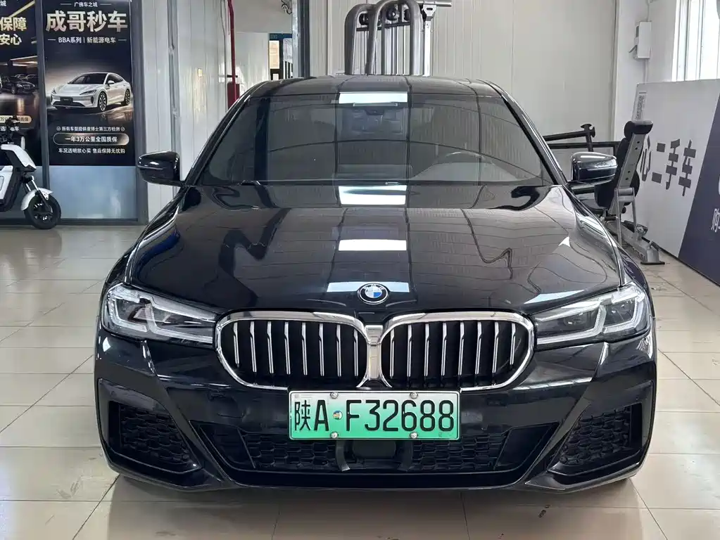 BMW 5 Series New Energy — миниатюра 2