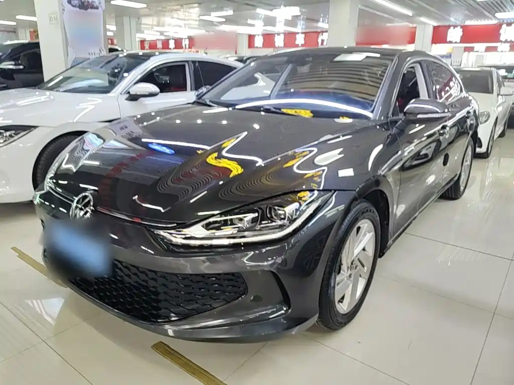 Volkswagen Lamando — миниатюра 2