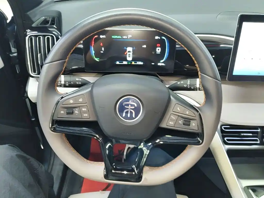 BYD Pro New Energy — миниатюра 11