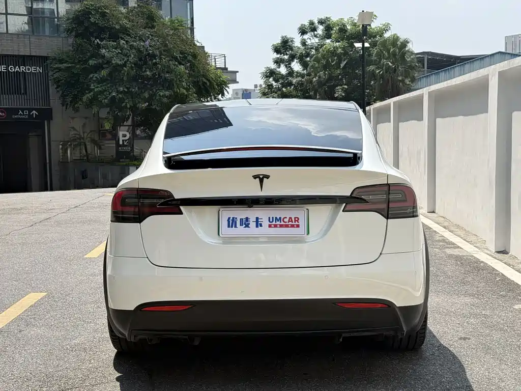 Tesla Model X — миниатюра 5