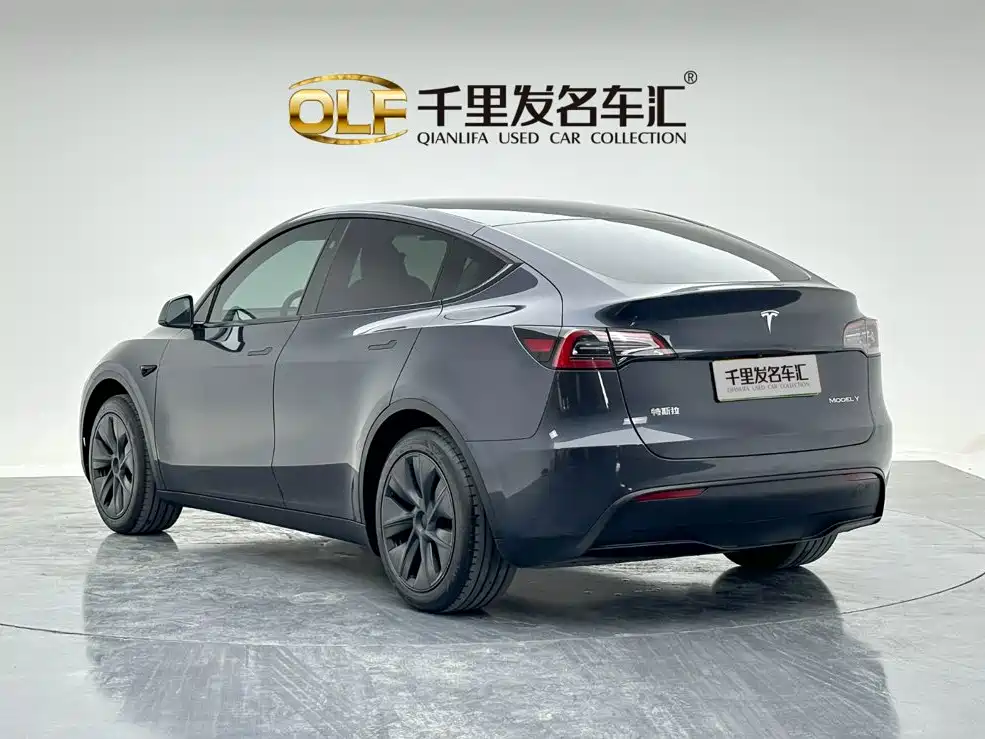 Tesla Model Y — миниатюра 7