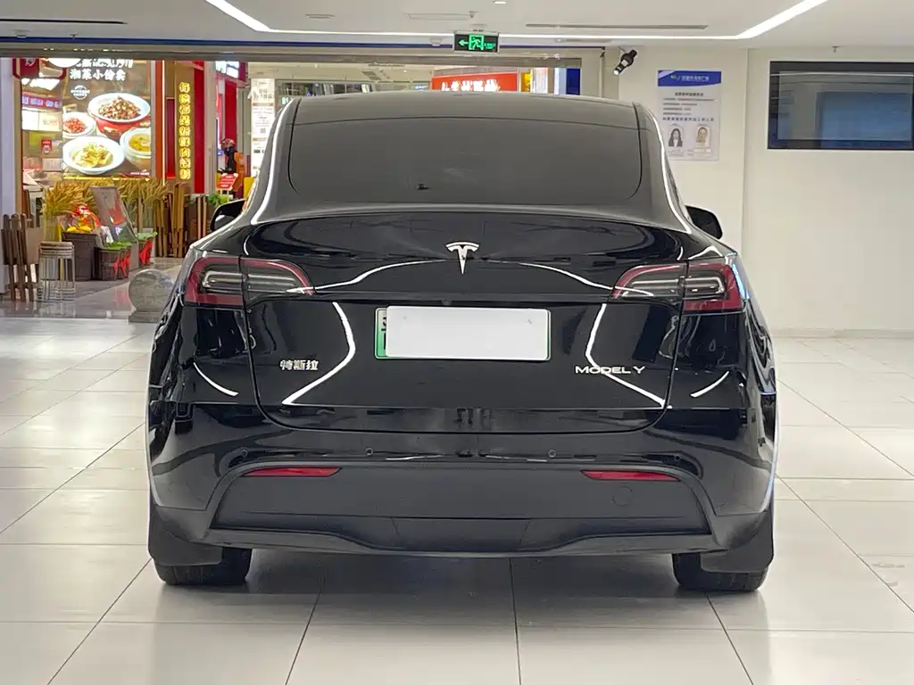 Tesla Model Y — миниатюра 16