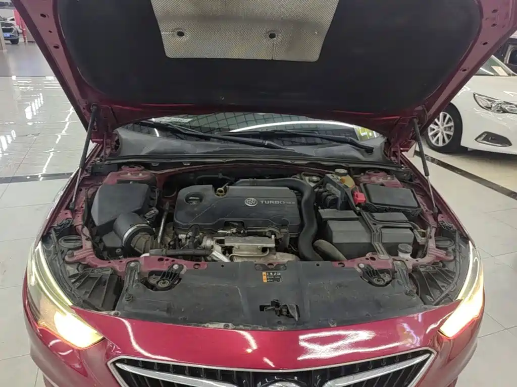 Buick Regal — миниатюра 20