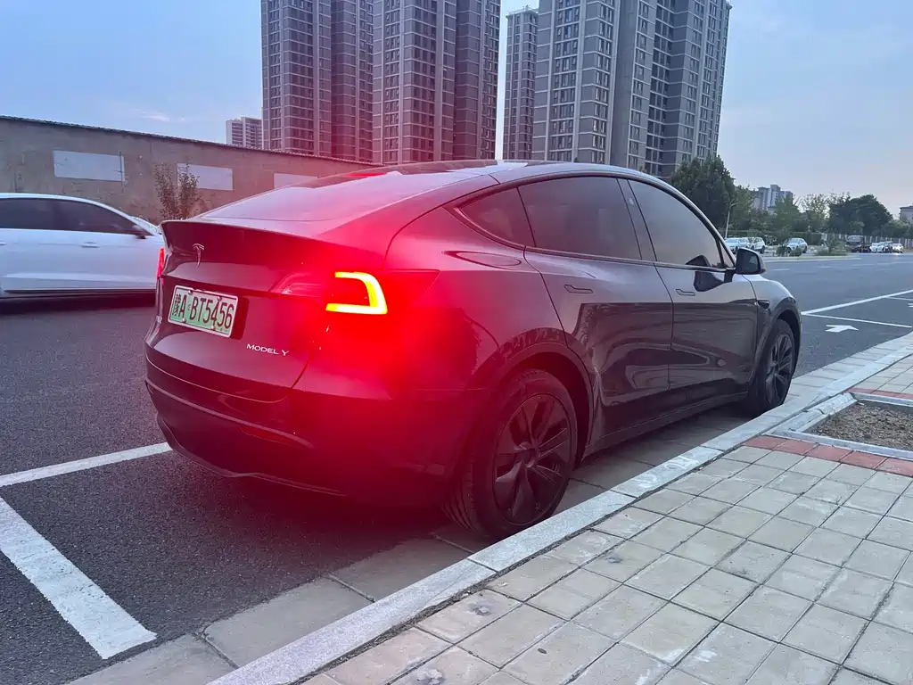 Tesla Model Y — миниатюра 10