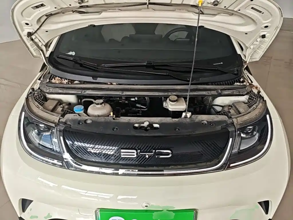 BYD Dolphin — миниатюра 20