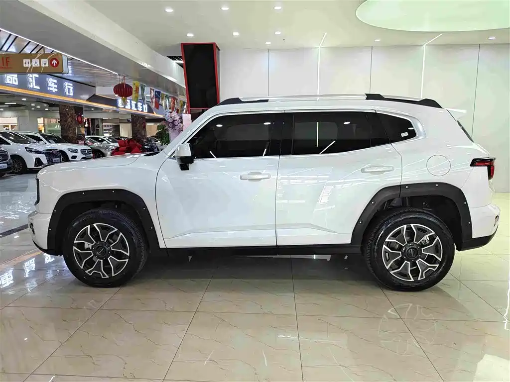Haval Big Dog PLUS New Energy — миниатюра 16