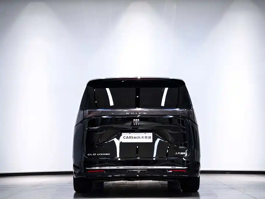 Buick Electra Encasa — миниатюра 7