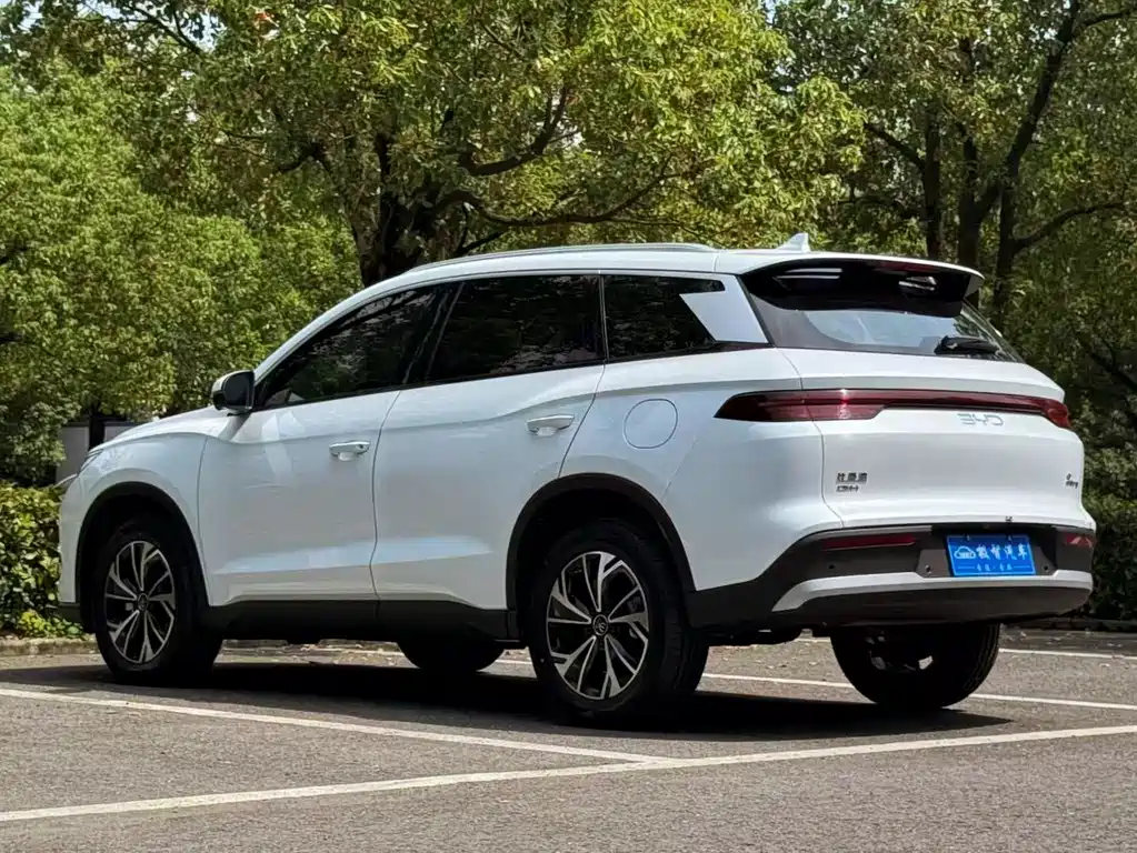 BYD Pro New Energy — миниатюра 7