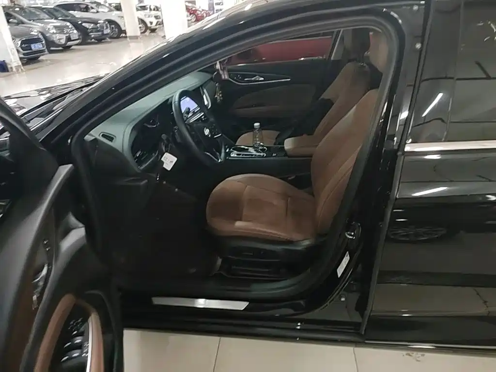Buick Regal — миниатюра 15
