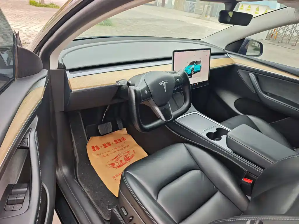 Tesla Model Y — миниатюра 4