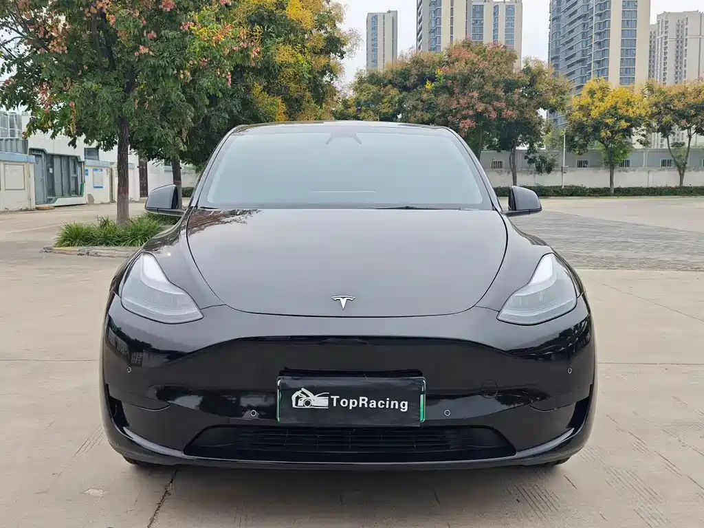 Tesla Model Y — миниатюра 2