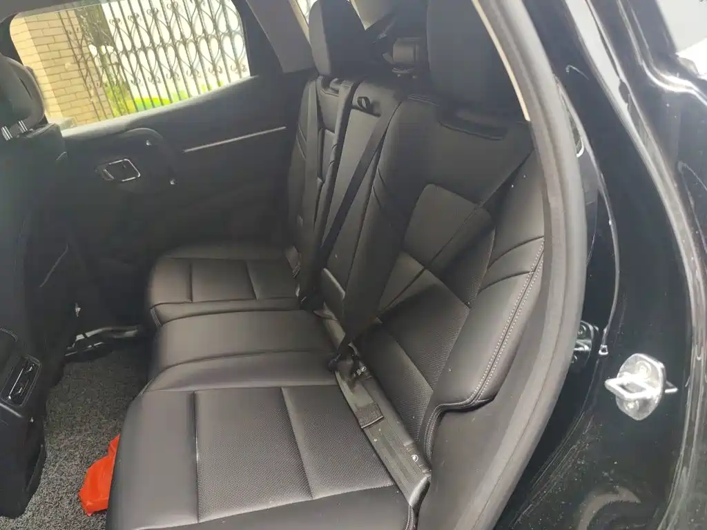 Haval Big Dog PLUS New Energy — миниатюра 14
