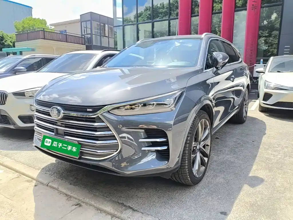 BYD Tang New Energy — миниатюра 2