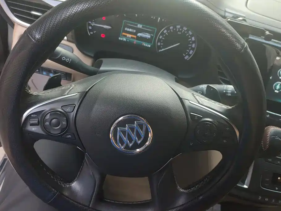 Buick GL8 — миниатюра 15