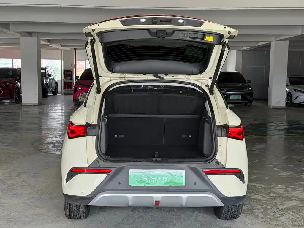 BYD Yuan Plus — миниатюра 13