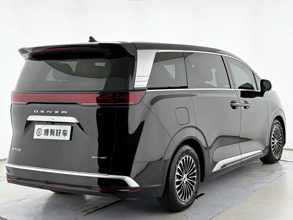 Denza Denza D9 — миниатюра 12