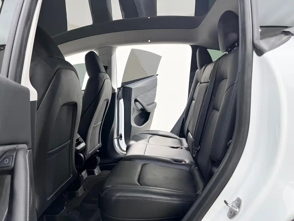 Tesla Model Y — миниатюра 8