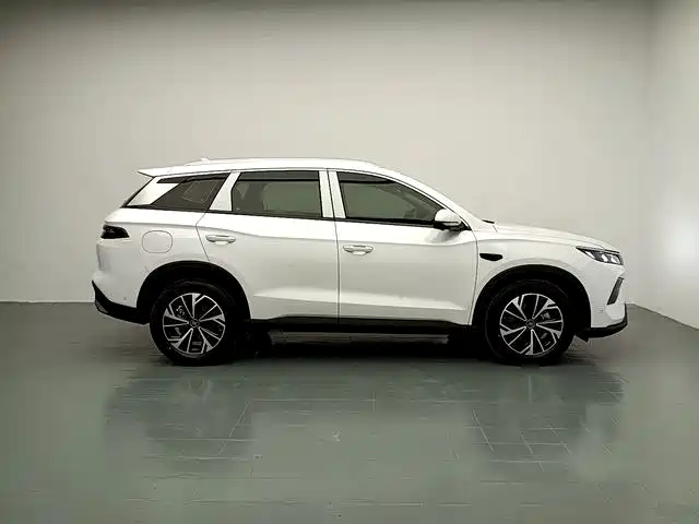 BYD Pro New Energy — миниатюра 8