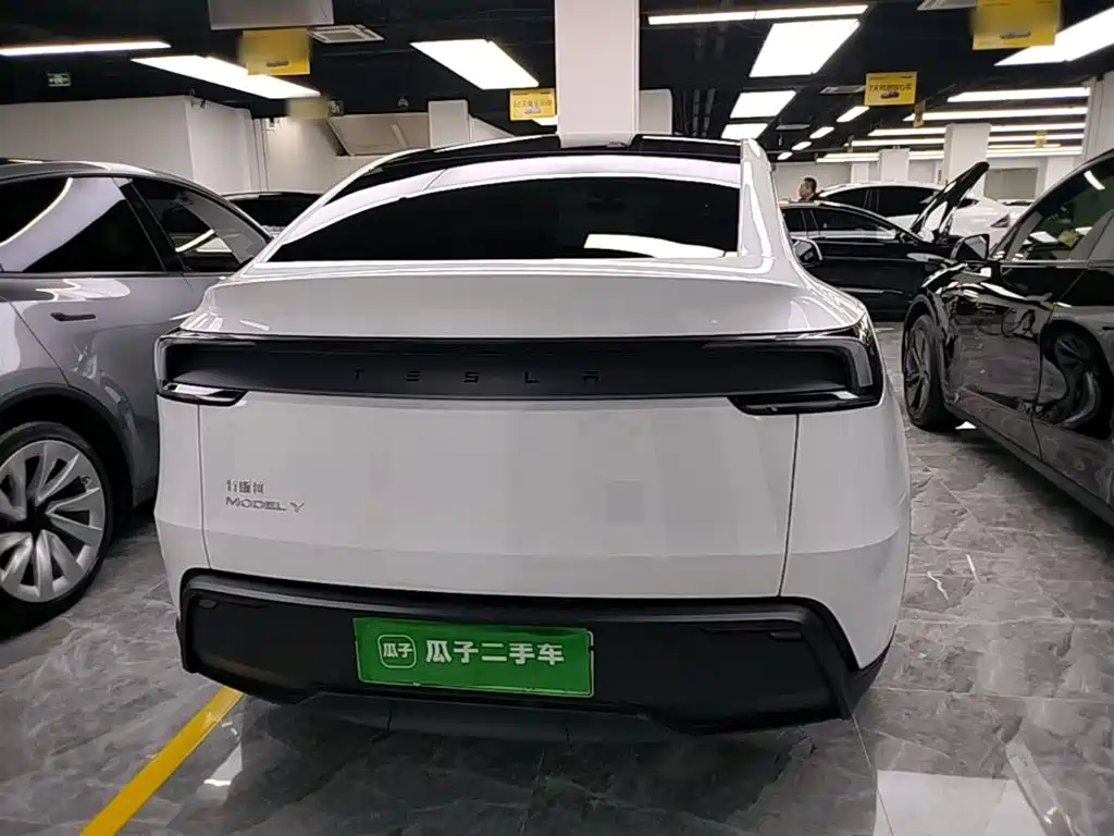 Tesla Model Y — миниатюра 6