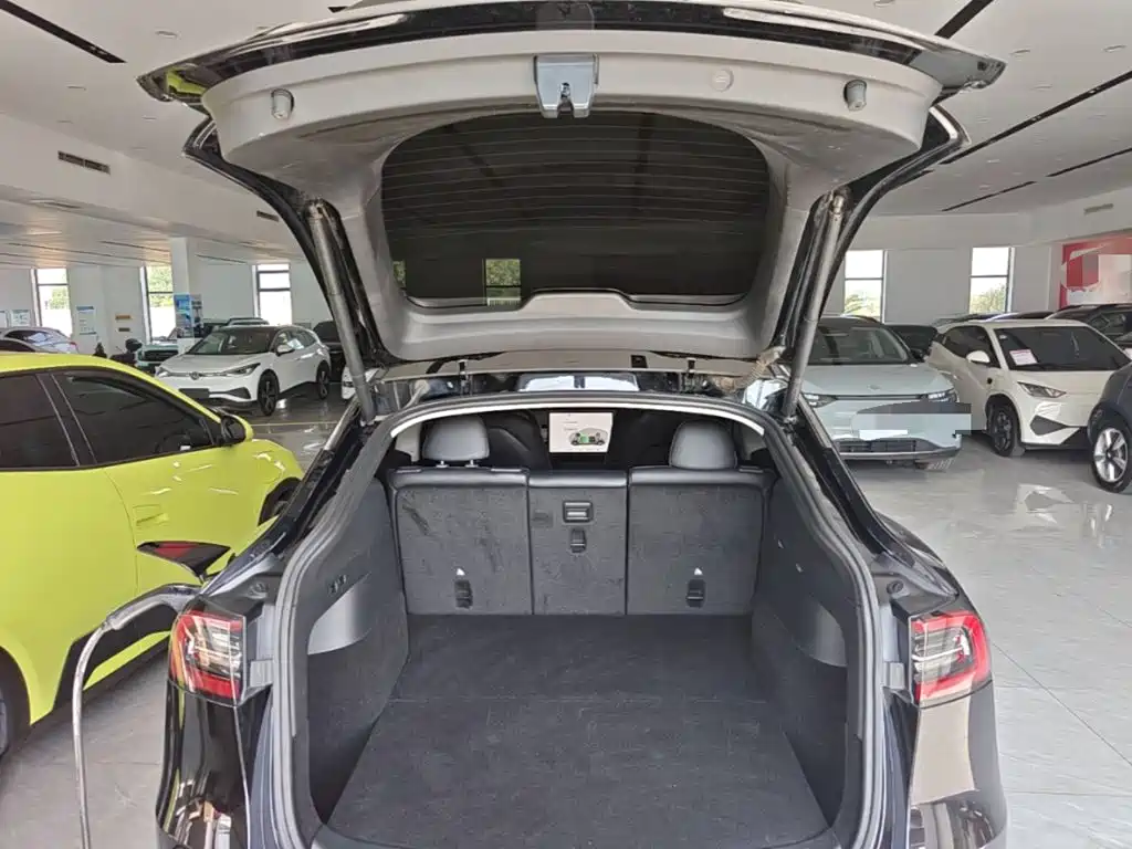 Tesla Model Y — миниатюра 19