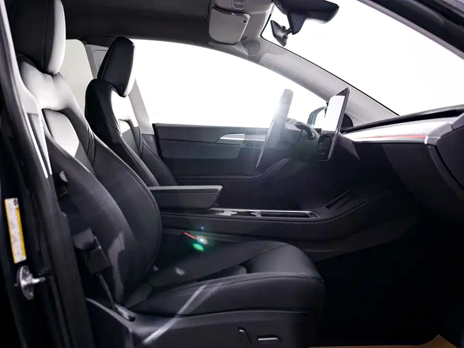 Tesla Model Y — миниатюра 19