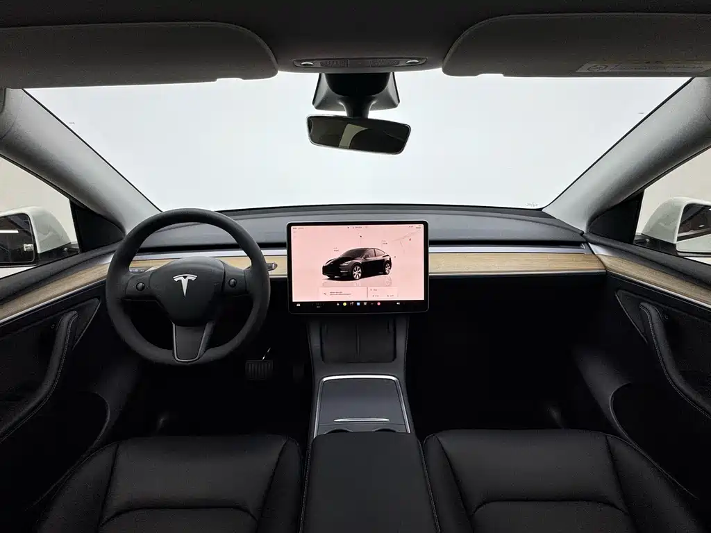 Tesla Model Y — миниатюра 14