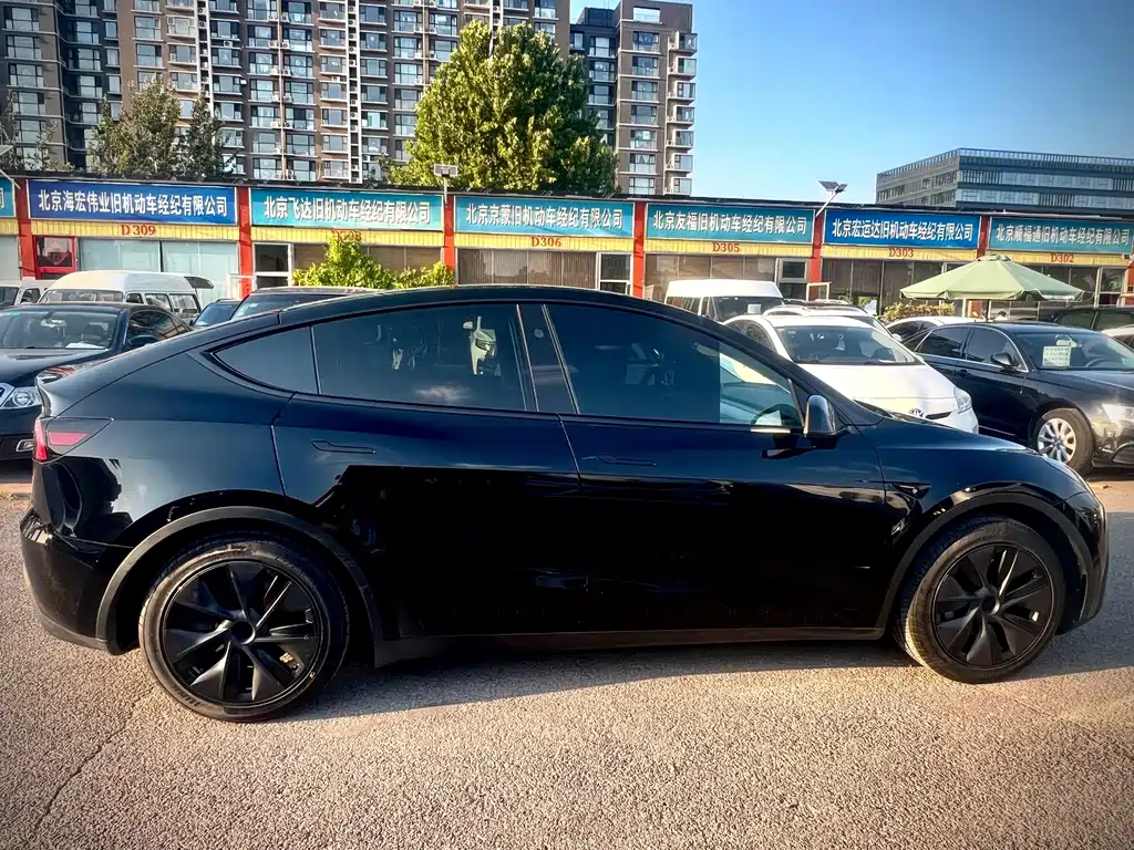 Tesla Model Y — миниатюра 4