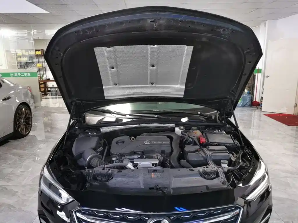 Buick Regal — миниатюра 20