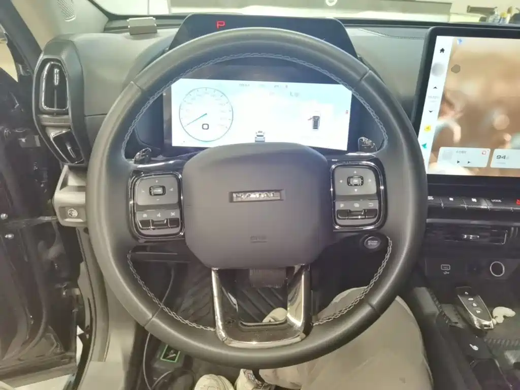 Haval Big Dog PLUS — миниатюра 11