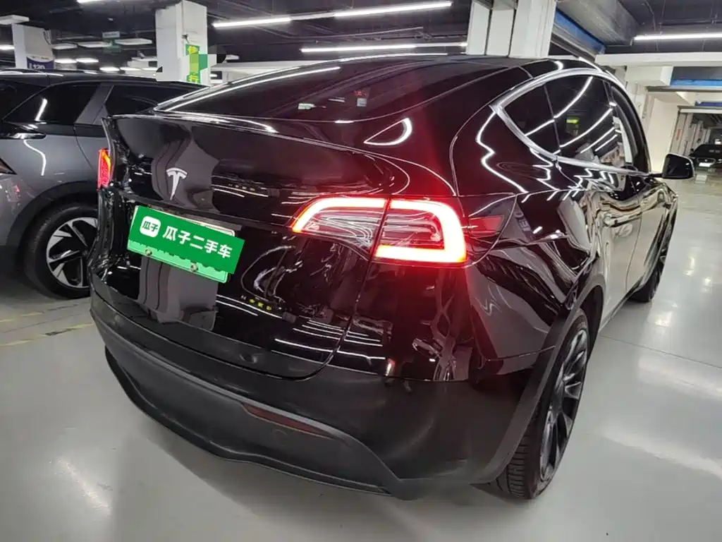 Tesla Model Y — миниатюра 7