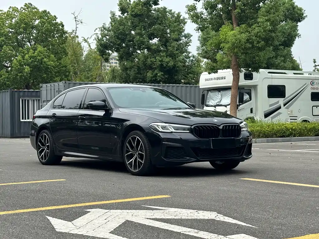BMW 5 Series — миниатюра 3
