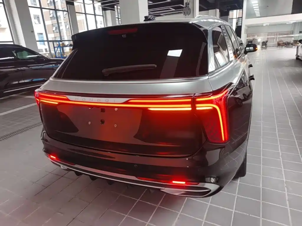 Hongqi Hongqi E-HS9 — миниатюра 6