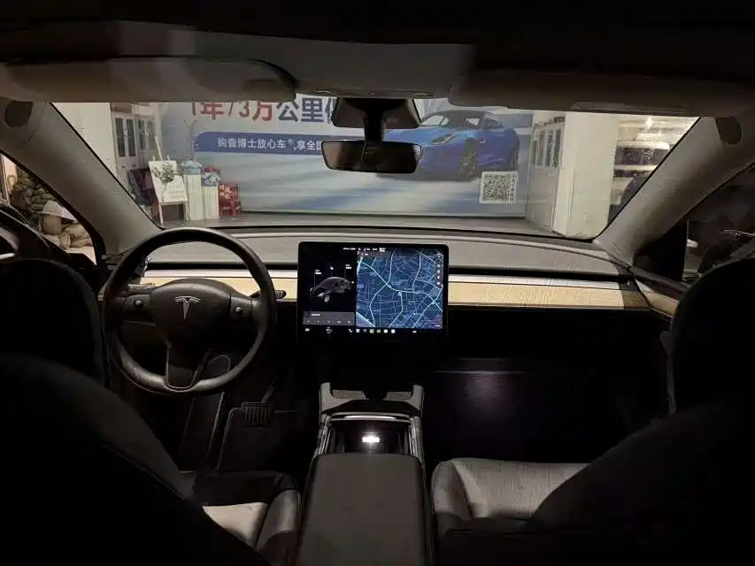 Tesla Model Y — миниатюра 5