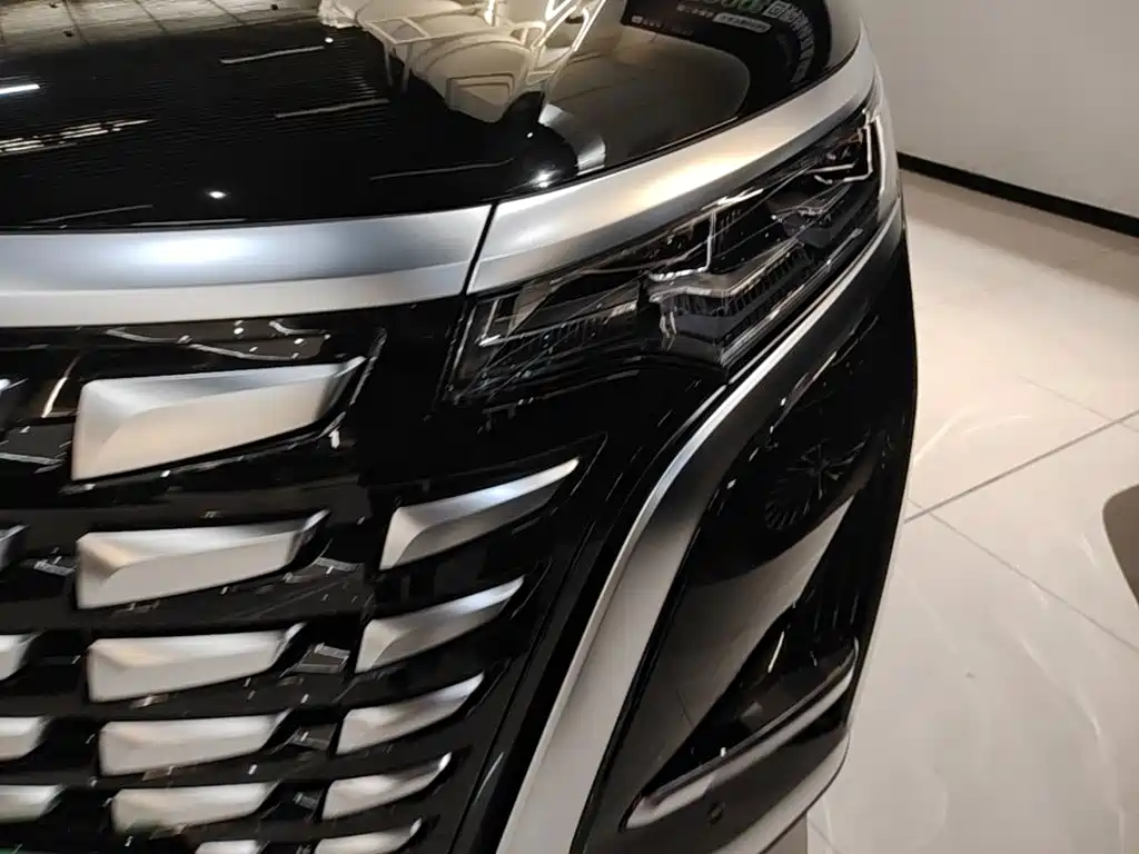Denza Denza D9 — миниатюра 24