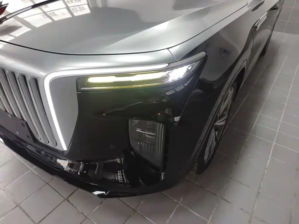 Hongqi Hongqi E-HS9 — миниатюра 24