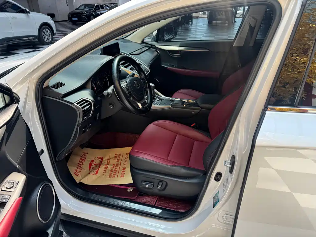 Lexus NX — миниатюра 13
