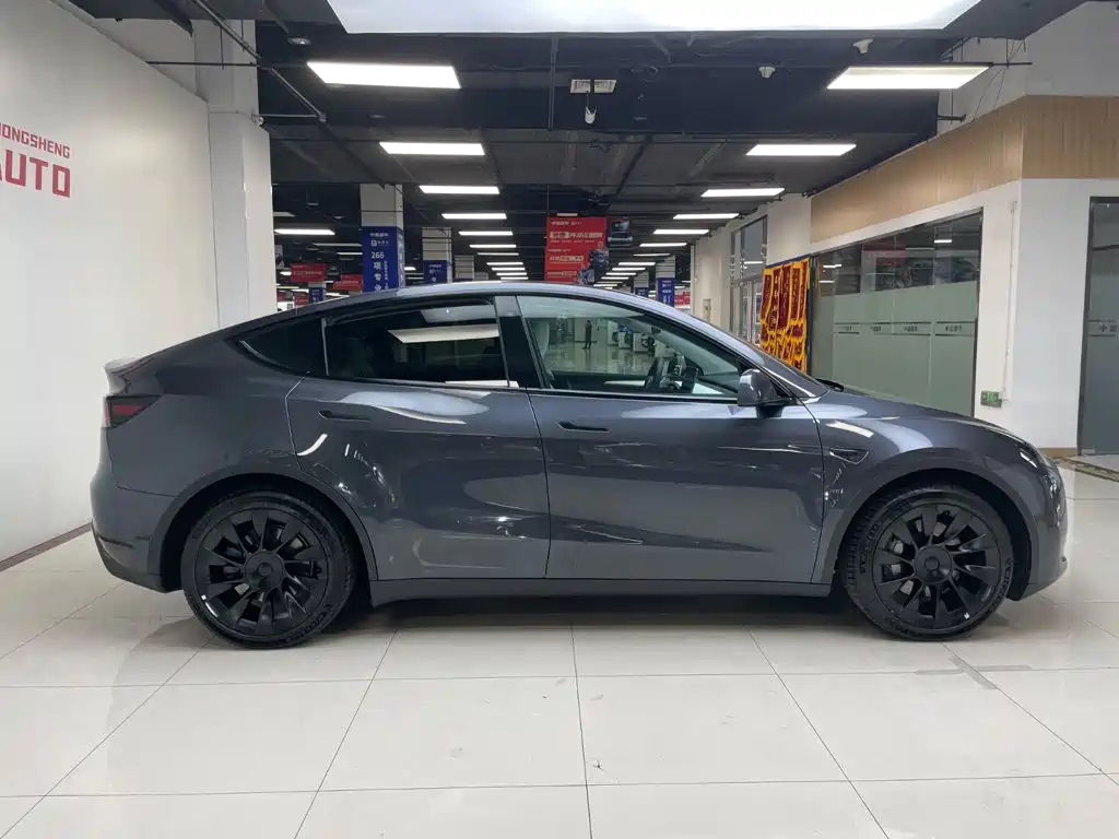 Tesla Model Y — миниатюра 3