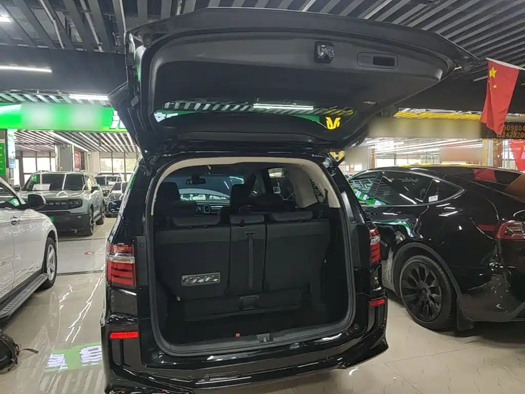 Honda Elysion — миниатюра 19