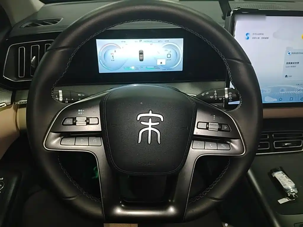 BYD Pro New Energy — миниатюра 11
