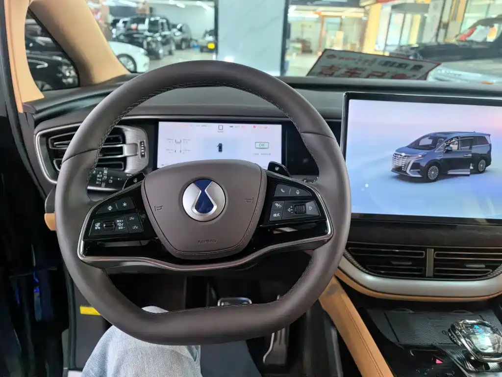 Denza Denza D9 — миниатюра 11