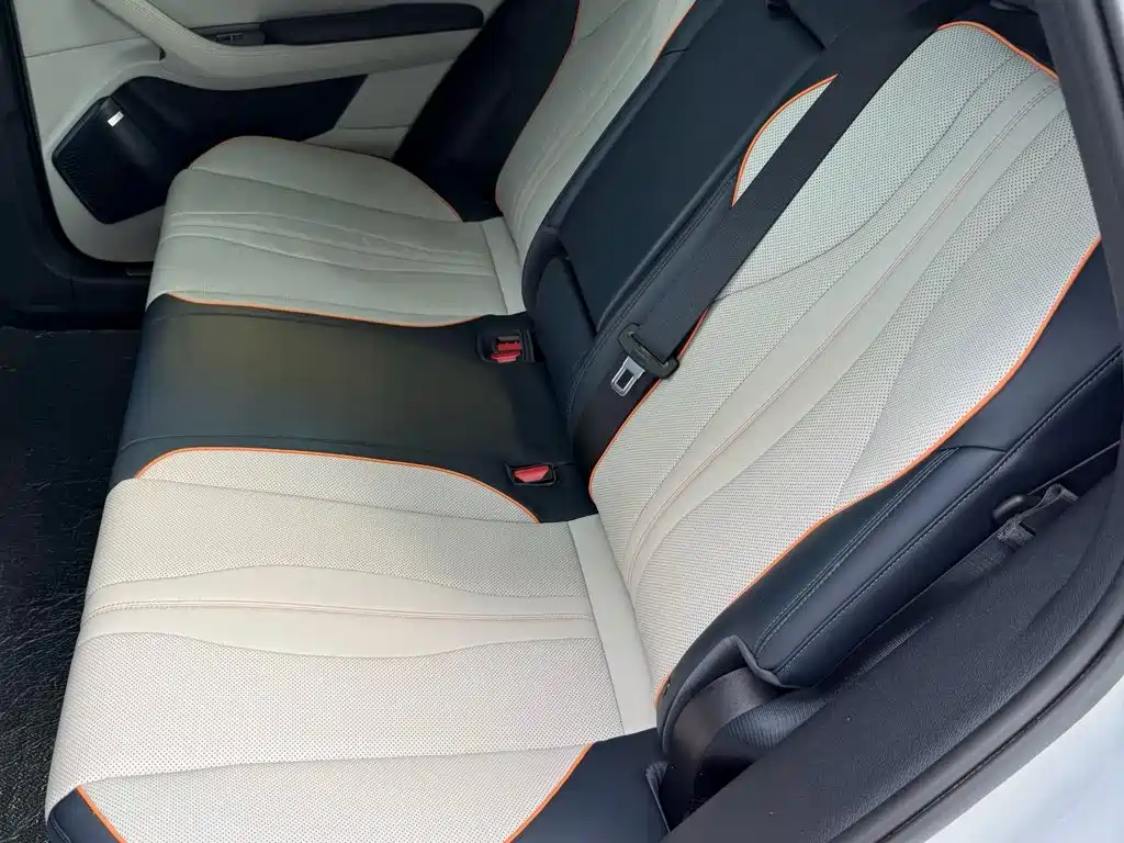 BYD PLUS New Energy — миниатюра 10