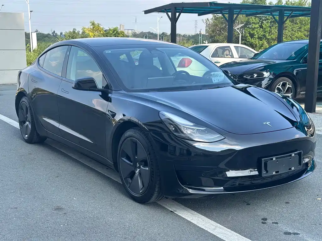 Tesla Model 3 — миниатюра 3