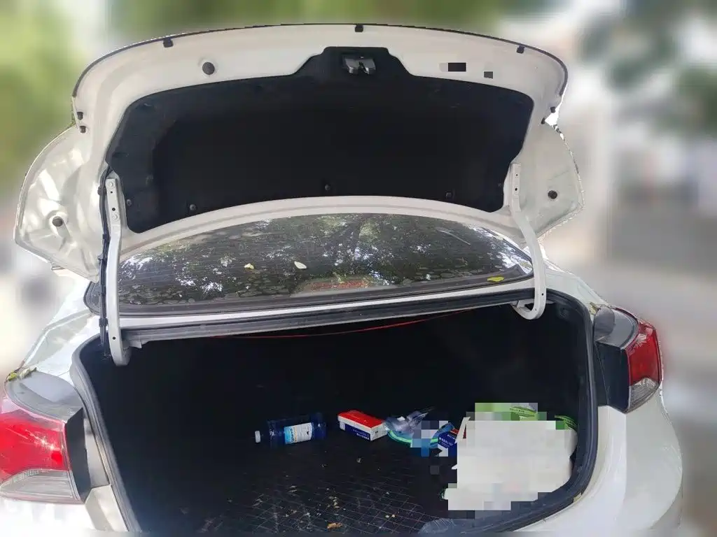 Hyundai Elantra Langdong — миниатюра 15