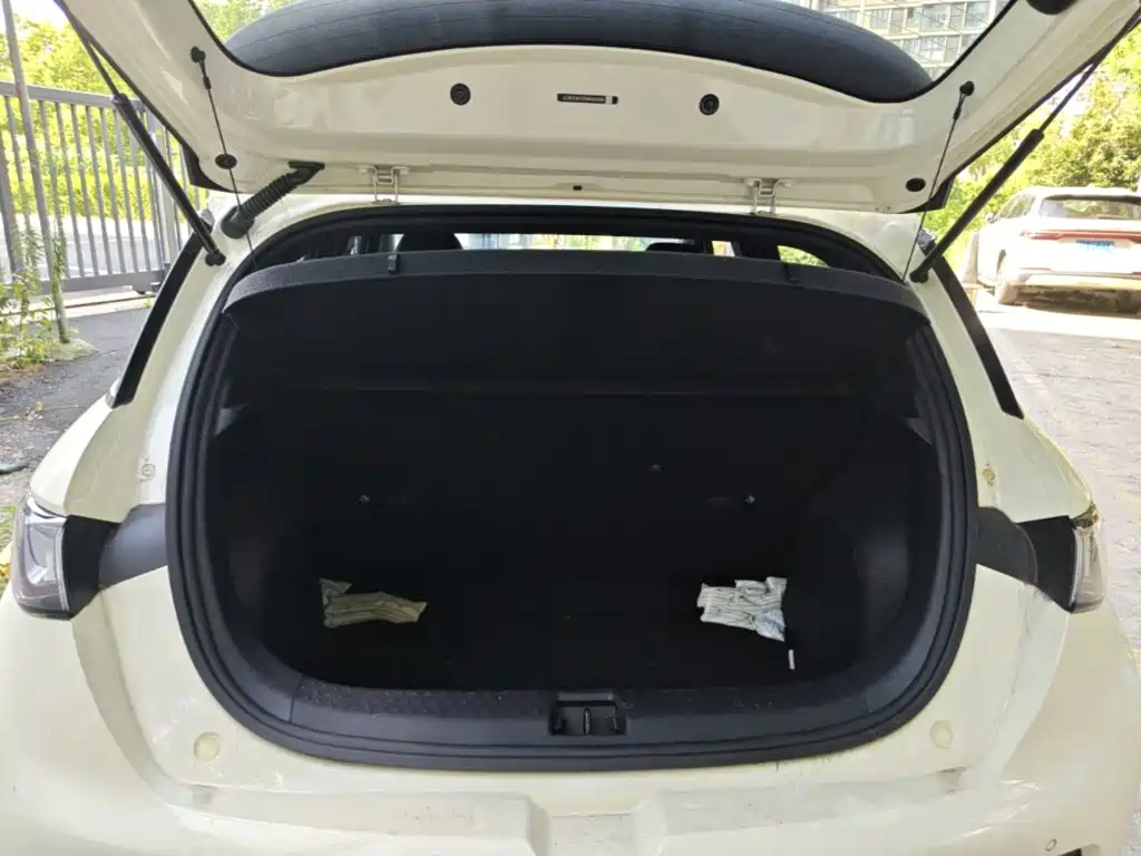 BYD Dolphin — миниатюра 19