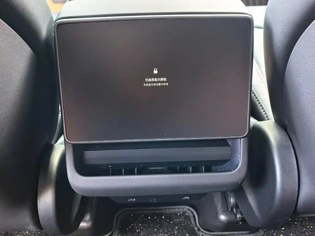 Tesla Model Y — миниатюра 10