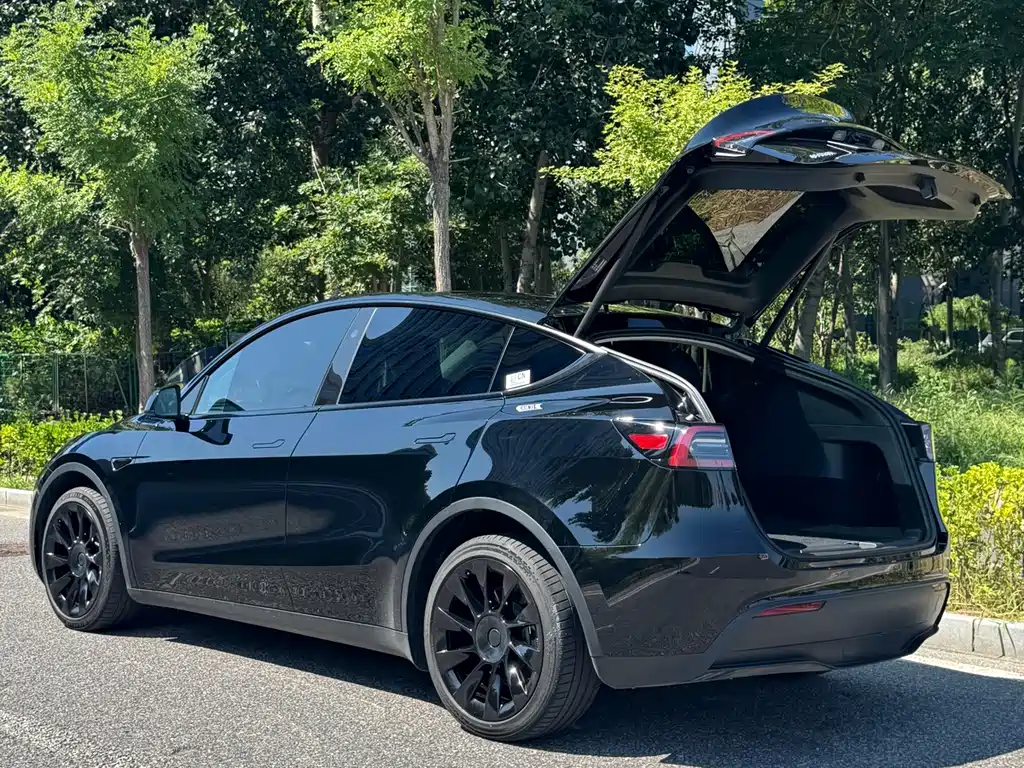 Tesla Model Y — миниатюра 7